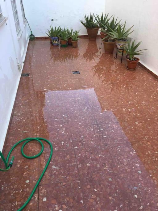 Casa Soleada En Calle Tranquila Siviglia Esterno foto